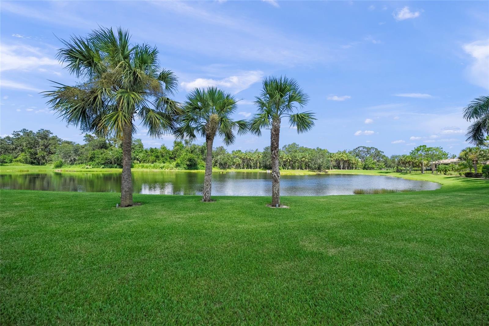 Image 8 of 82 For 3548 Founders Club Drive