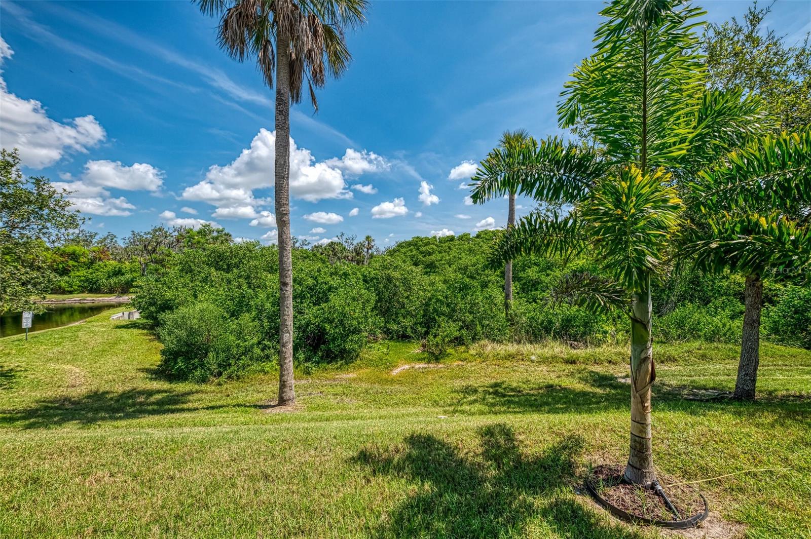 Image 42 of 48 For 5203 San Palermo Drive