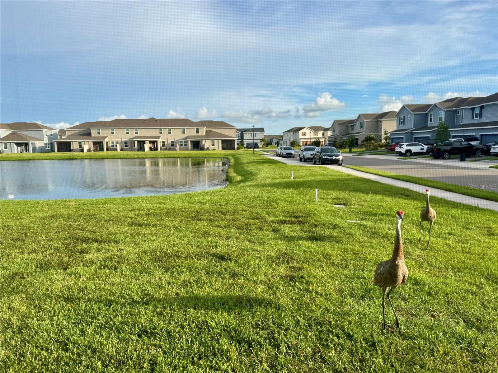 Image 27 of 38 For 11524 Woodleaf Drive