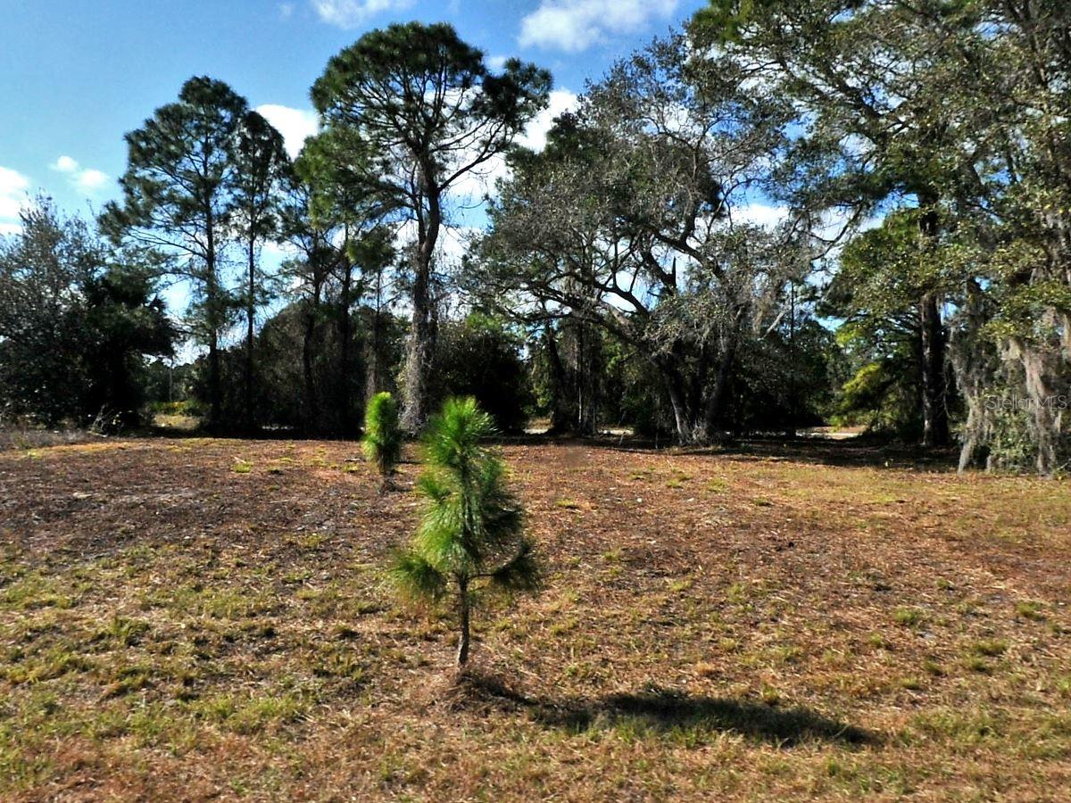 Details for Longfellow Lane, NORTH PORT, FL 34288