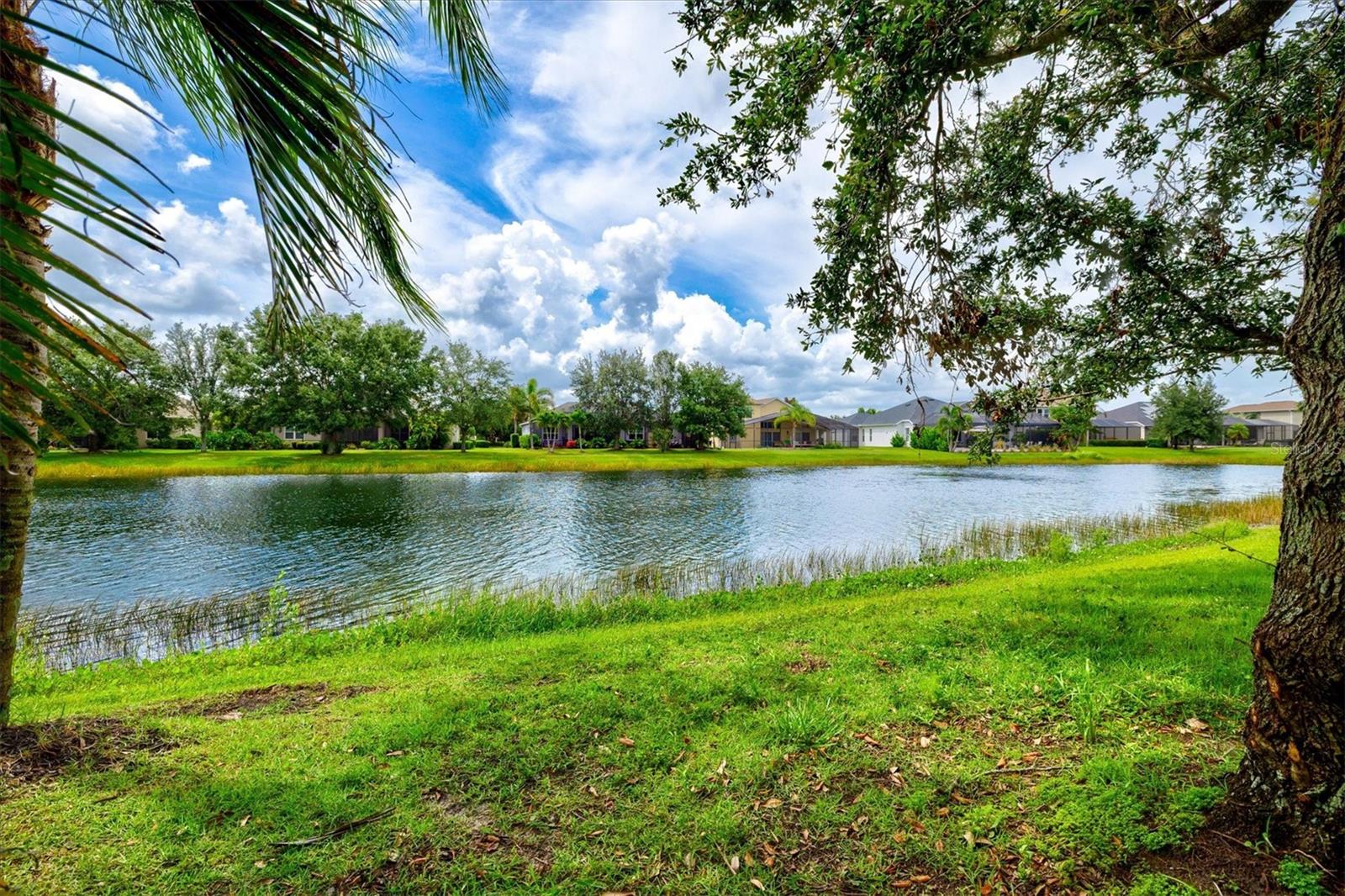 Image 44 of 87 For 12046 Forest Park Circle