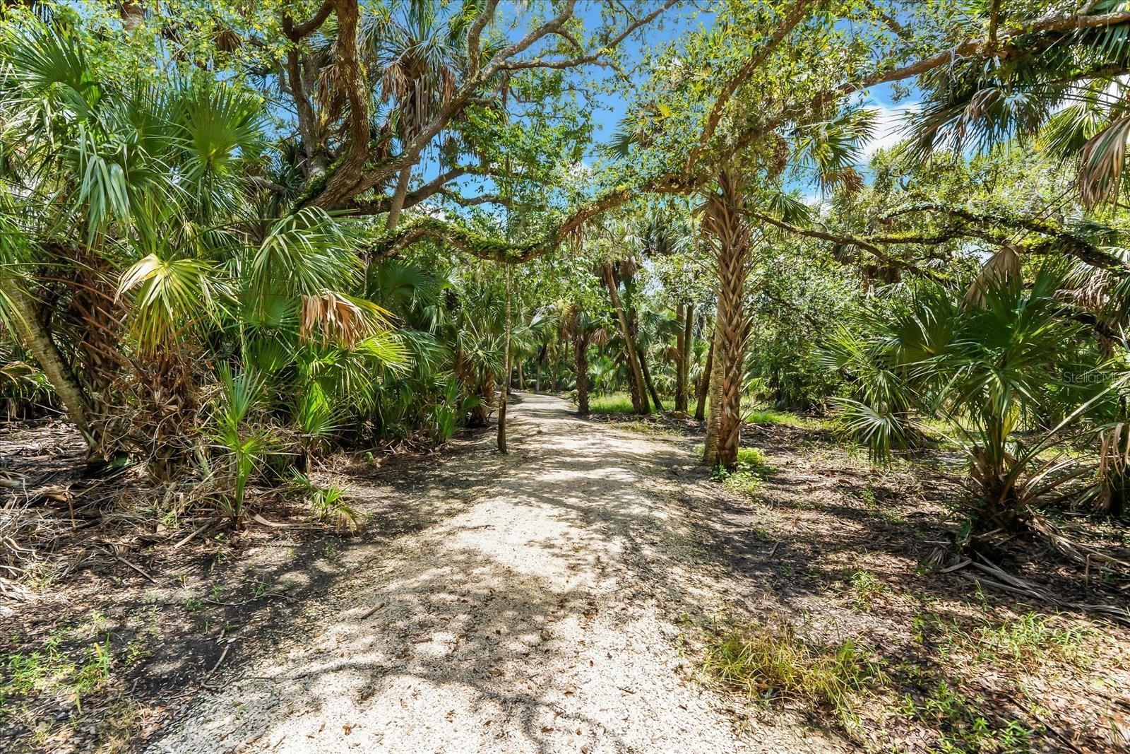 Image 49 of 60 For 8508 Lunar Skye Street