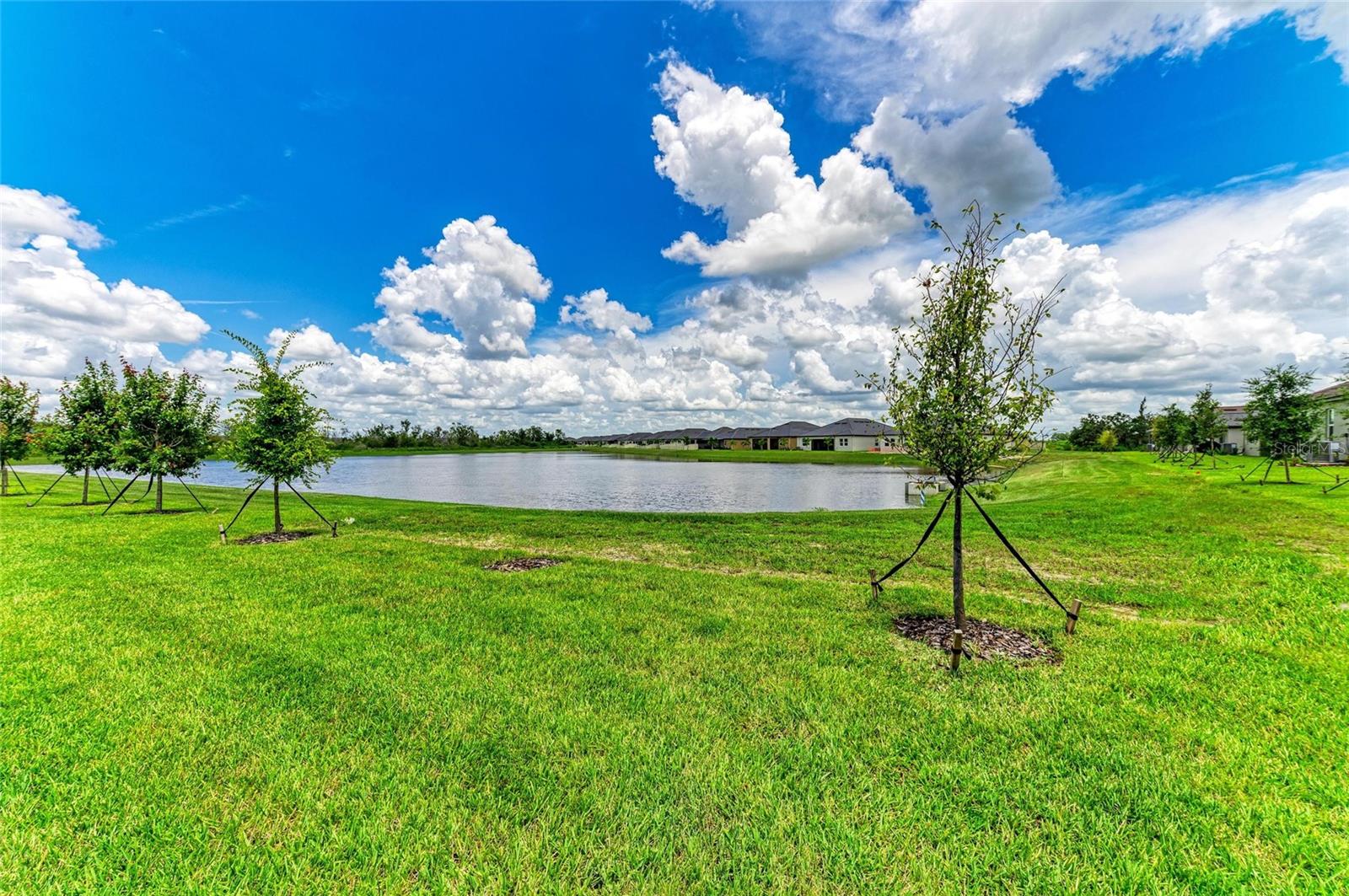 Image 40 of 54 For 11715 Lilac Pearl Lane