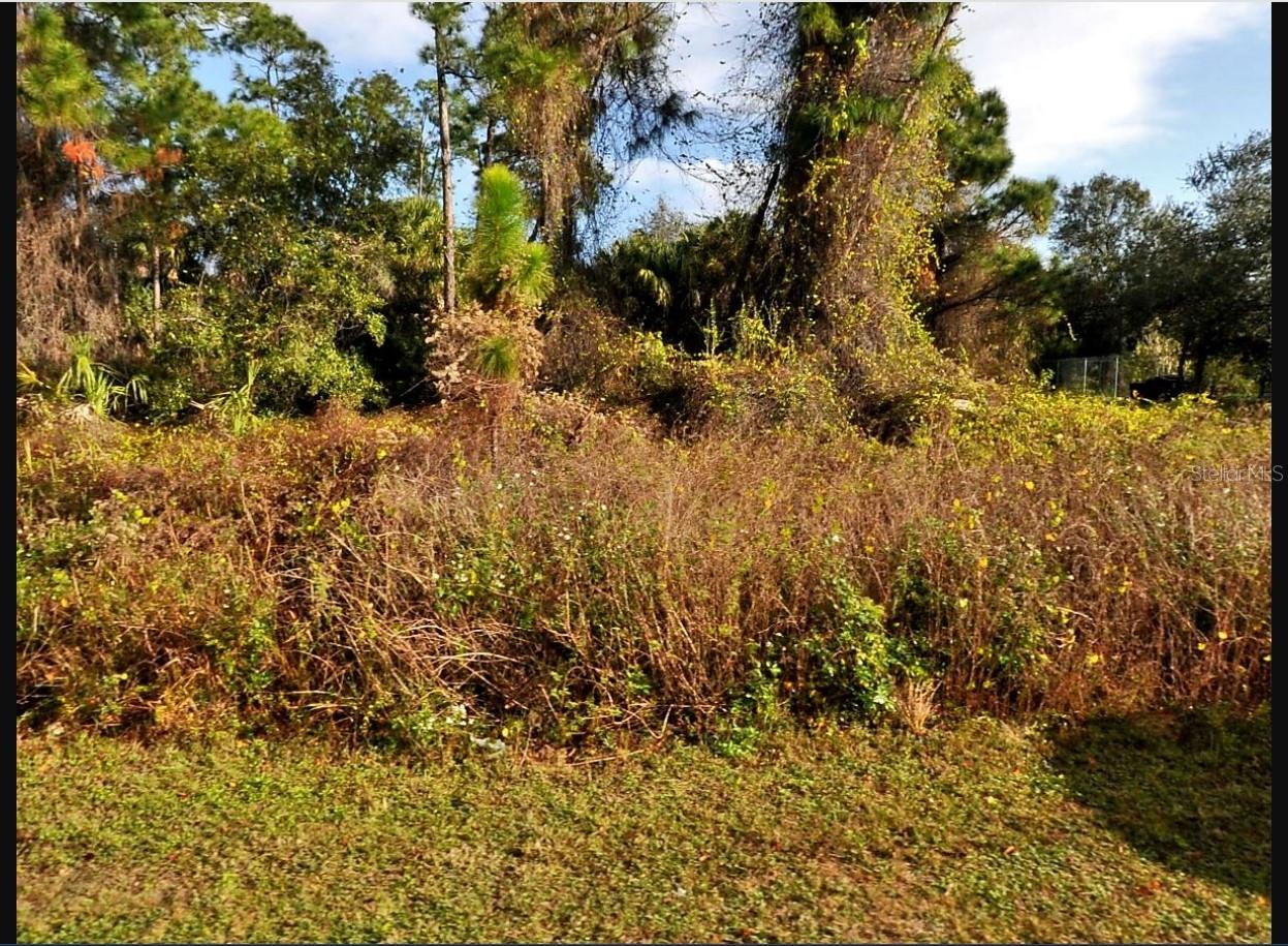 Image 3 of 3 For Halleck Street