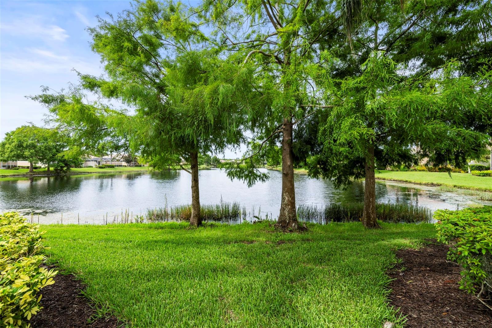Image 36 of 69 For 5804 Valente Place
