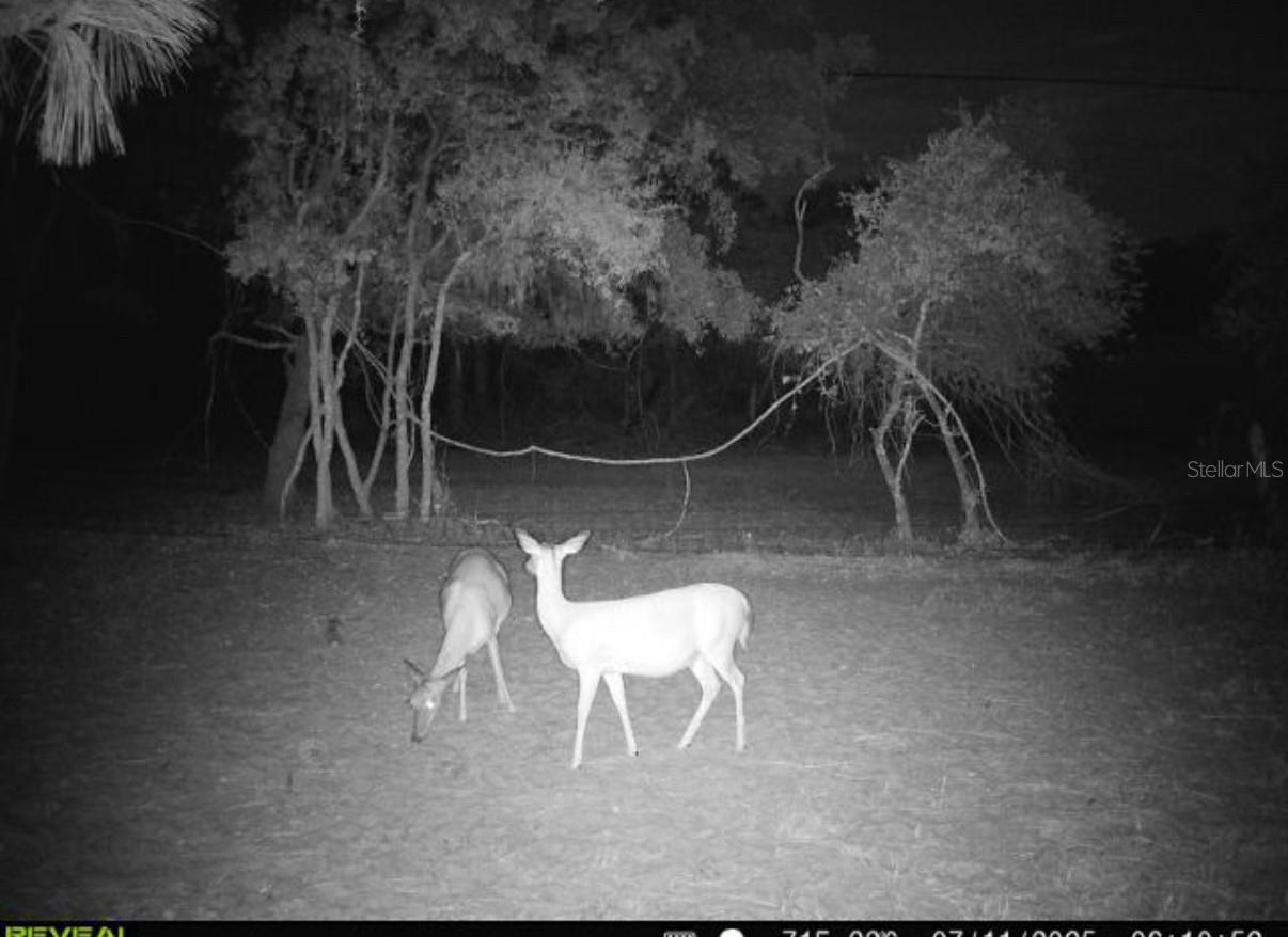 Image 21 of 25 For 5031 Lisk Lane