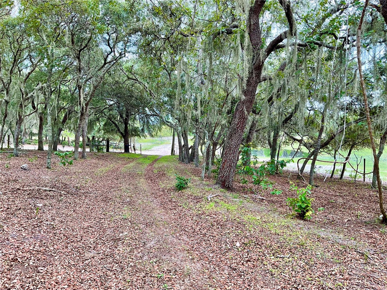 Image 23 of 25 For 5031 Lisk Lane