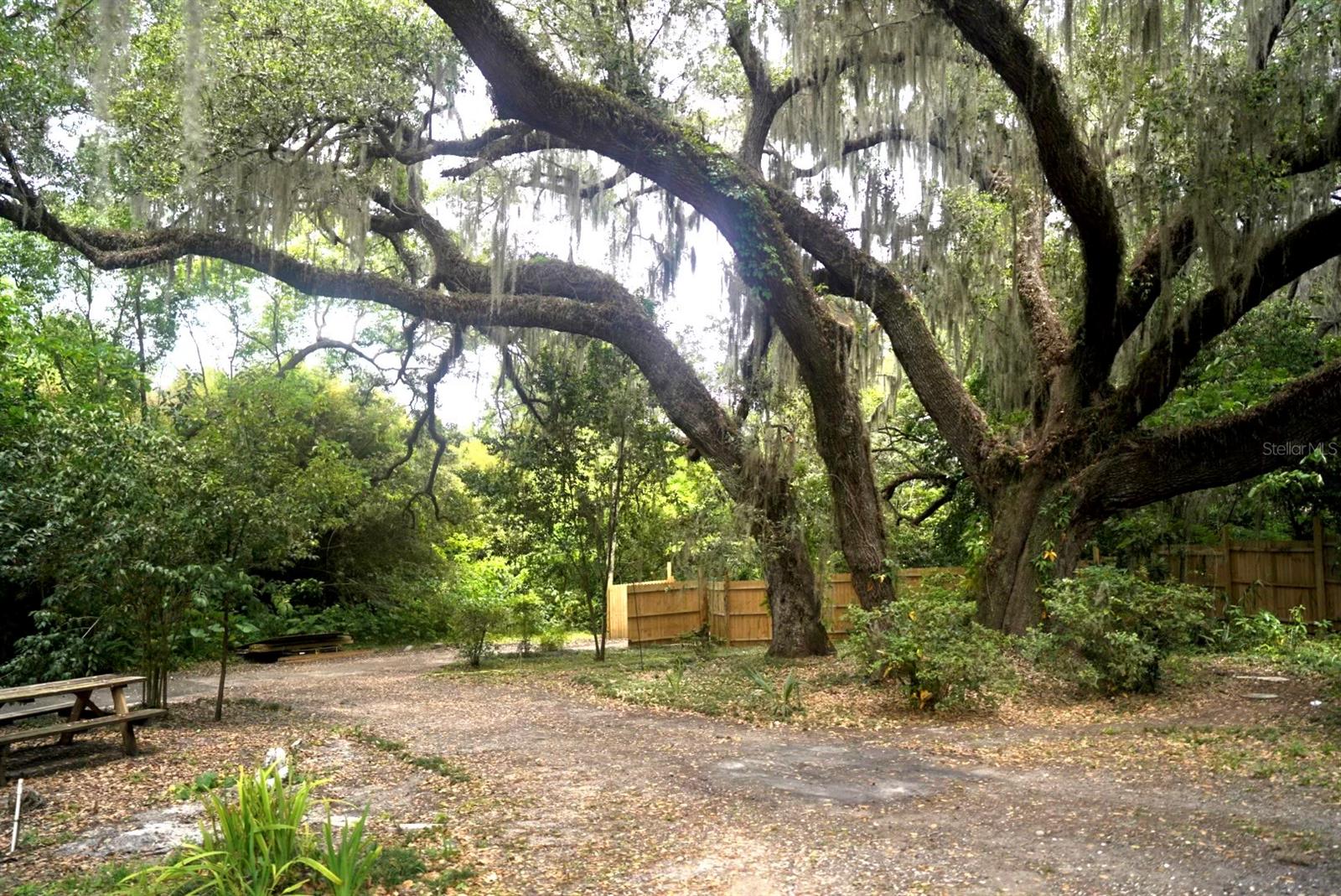 Image 7 of 31 For 1206 Sunshine Avenue