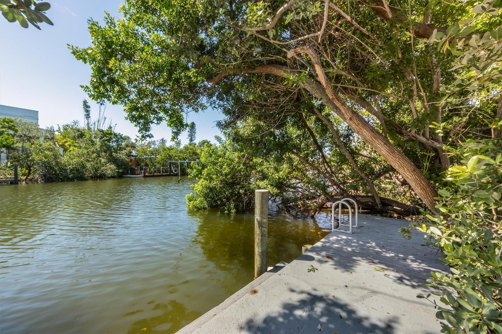 Listing photo id 25 for 413 Poinsettia Road