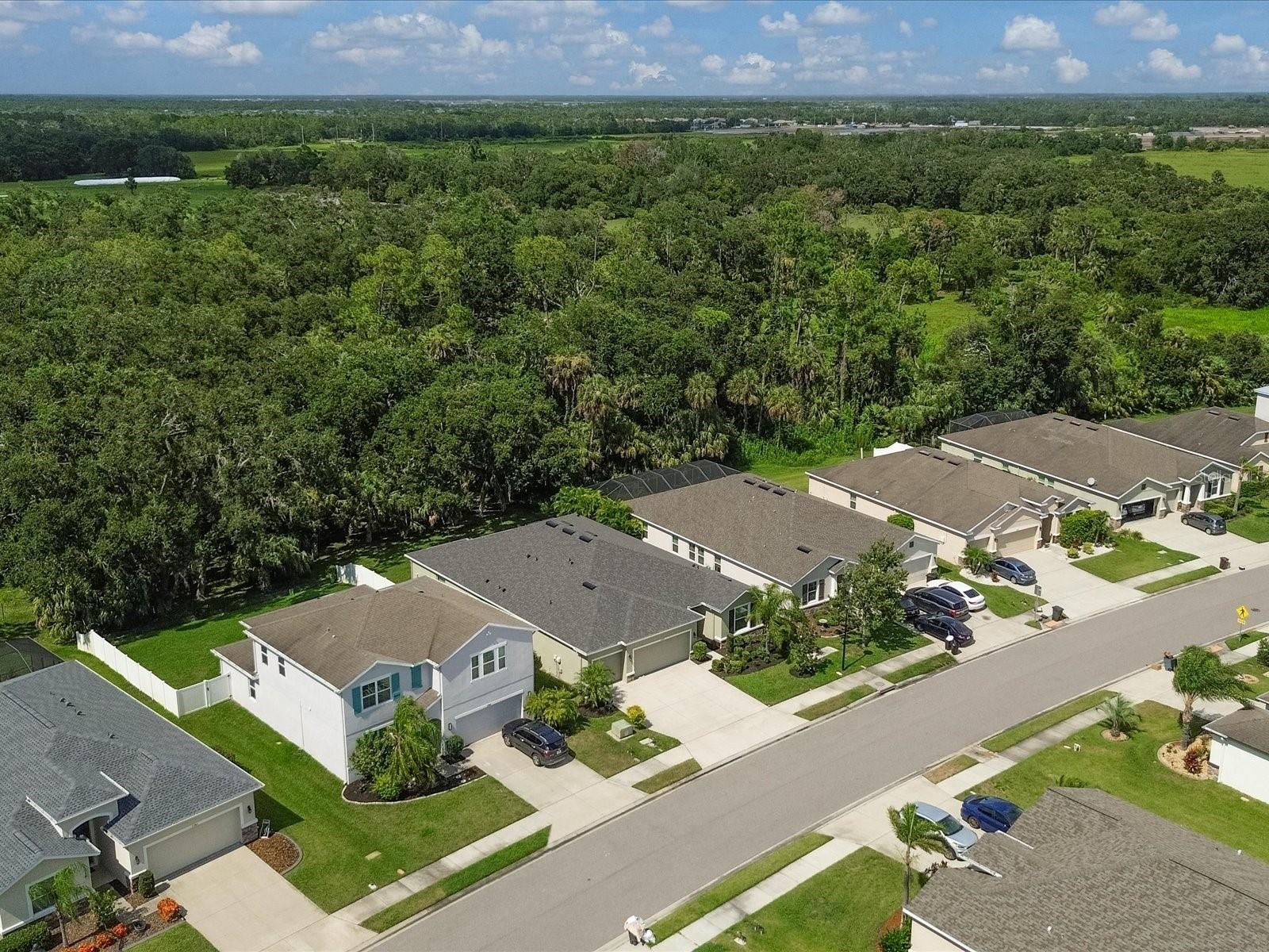 Image 40 of 58 For 15309 Trinity Fall Way