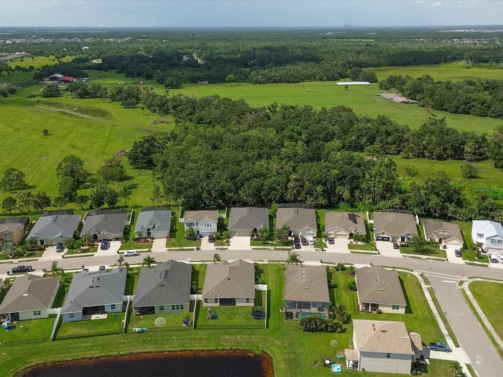 Image 41 of 58 For 15309 Trinity Fall Way