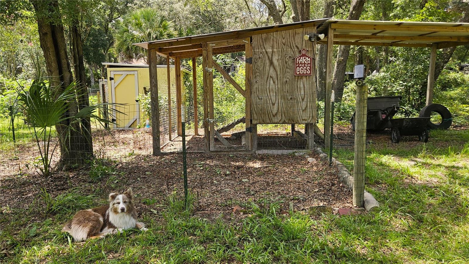 Image 33 of 43 For 1162 County Road 20a