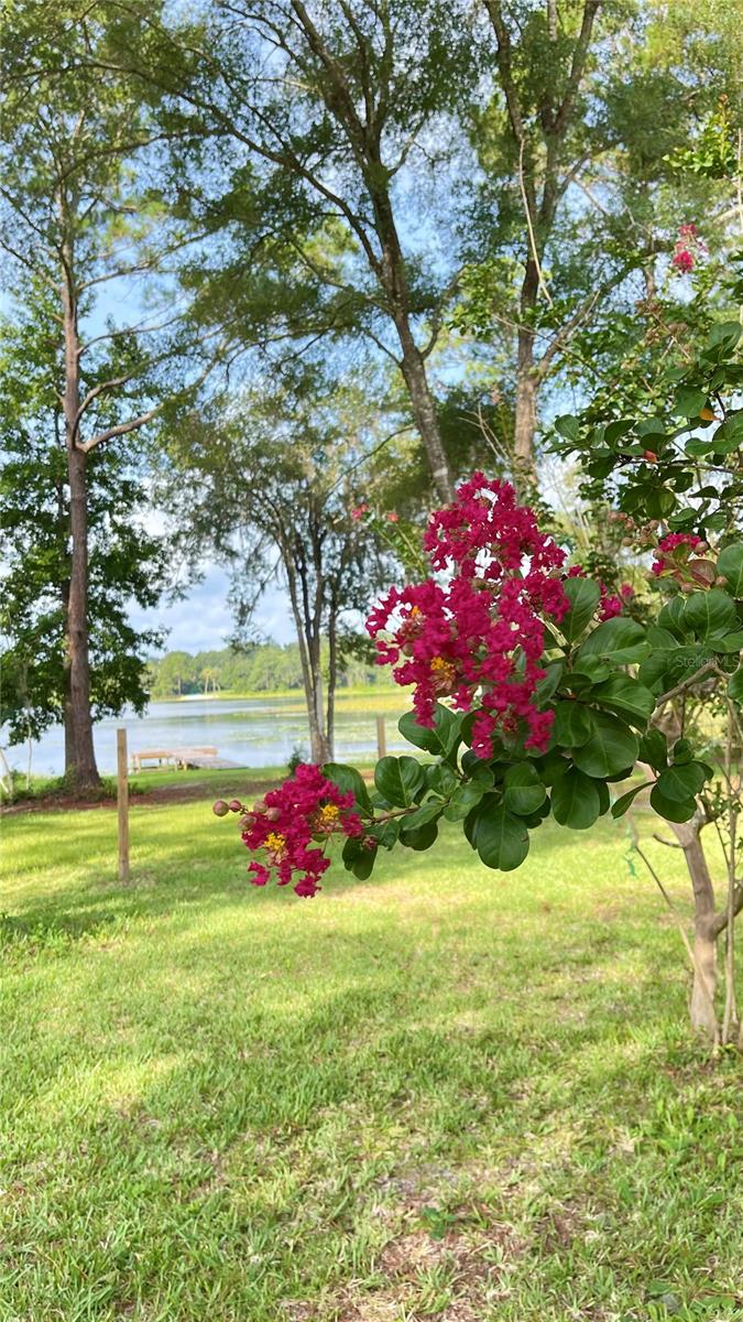 Image 36 of 43 For 1162 County Road 20a