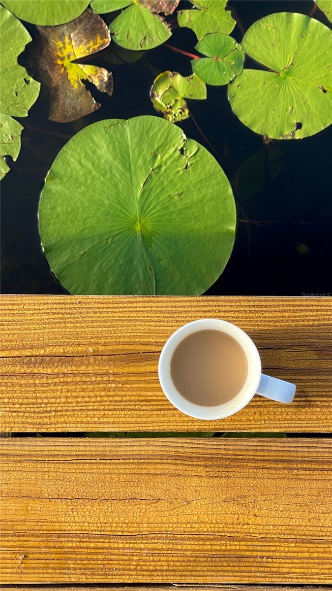 Image 39 of 43 For 1162 County Road 20a