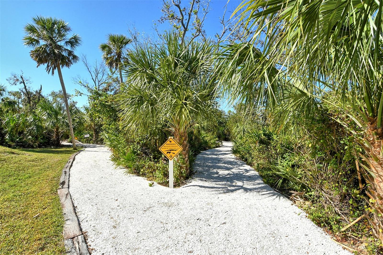 Image 56 of 61 For 7215 San Miguel Cove