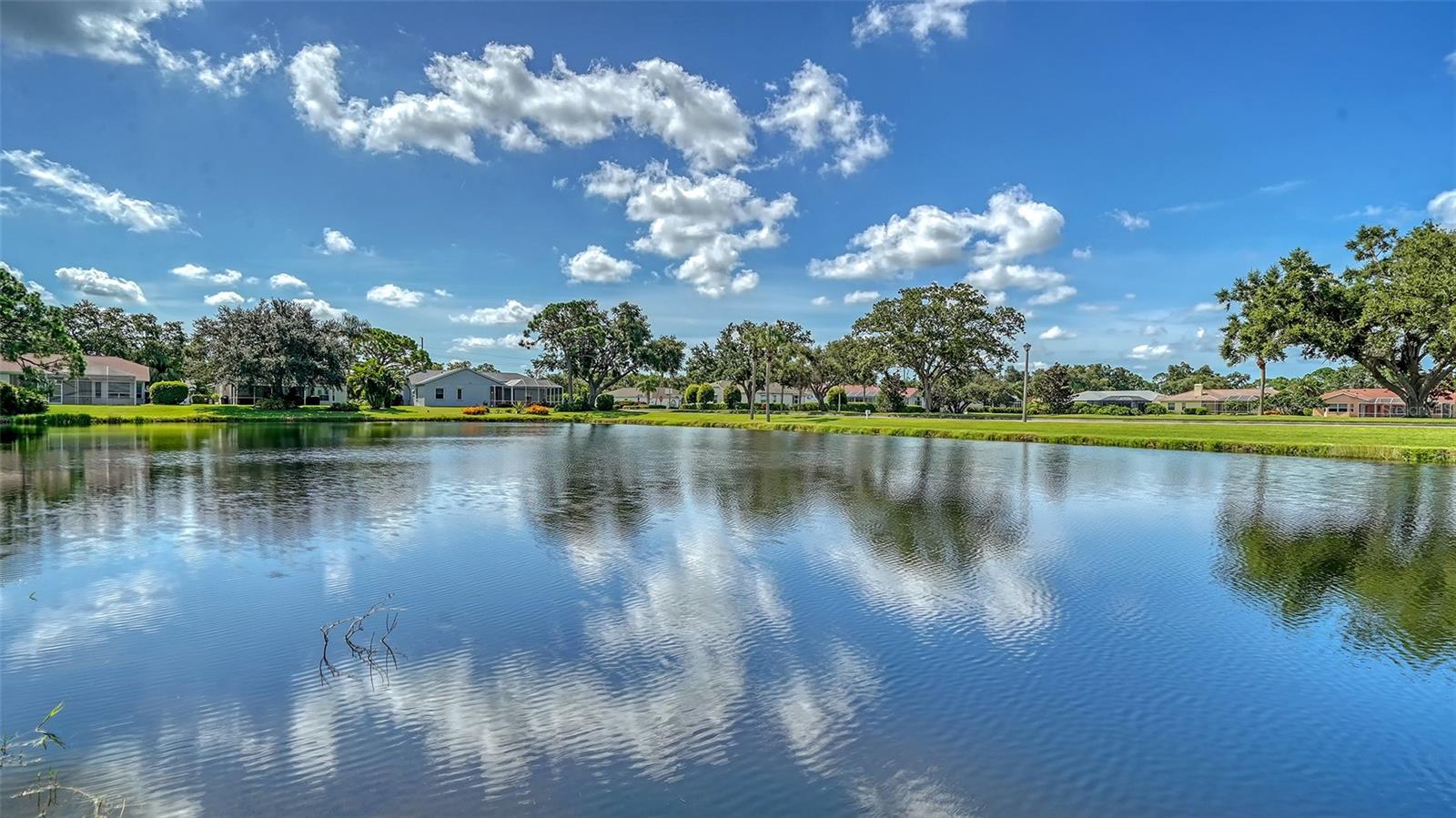Image 47 of 85 For 4239 Balmoral Way