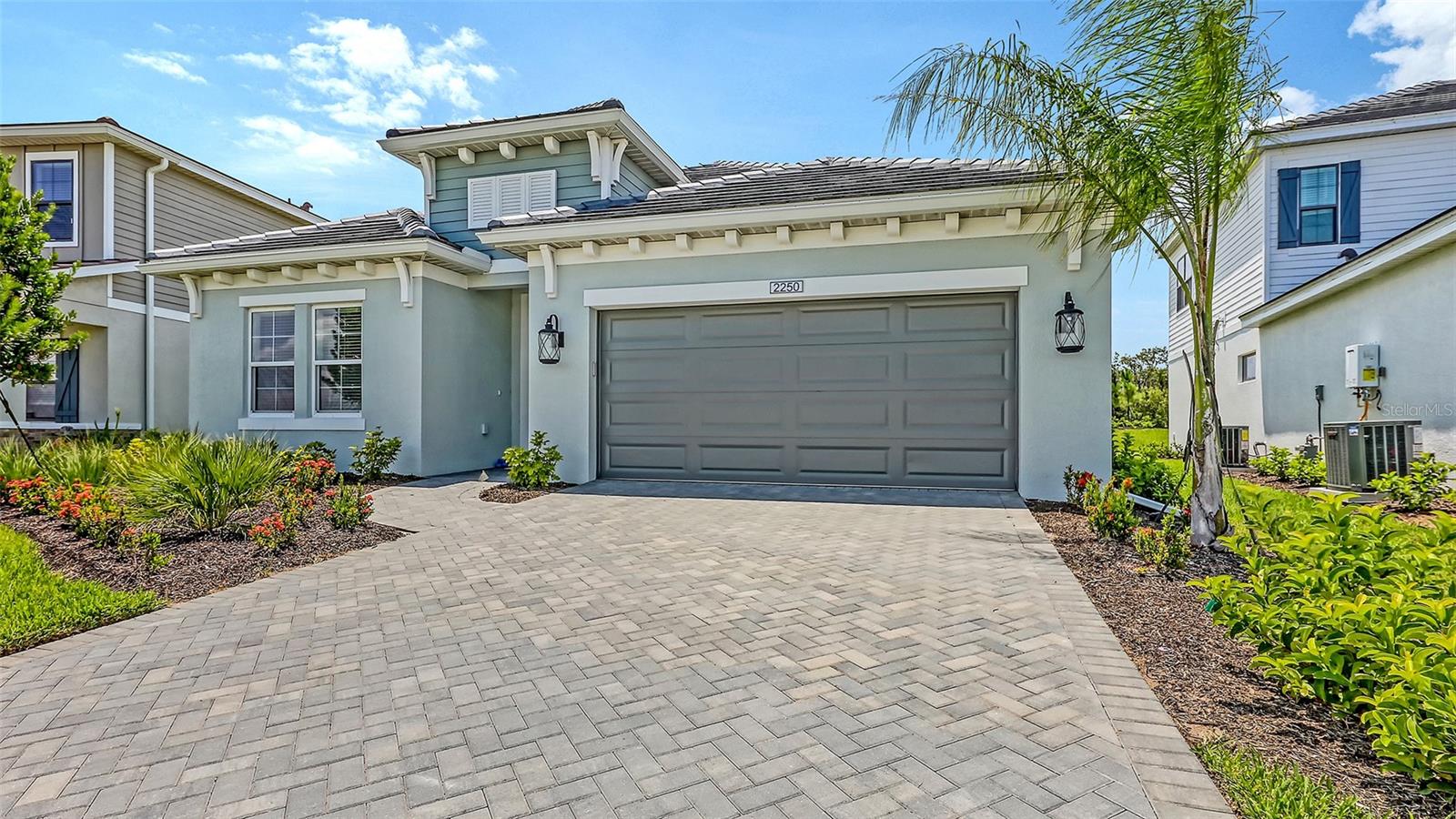 Image 2 of 44 For 2250 Lady Palm Loop