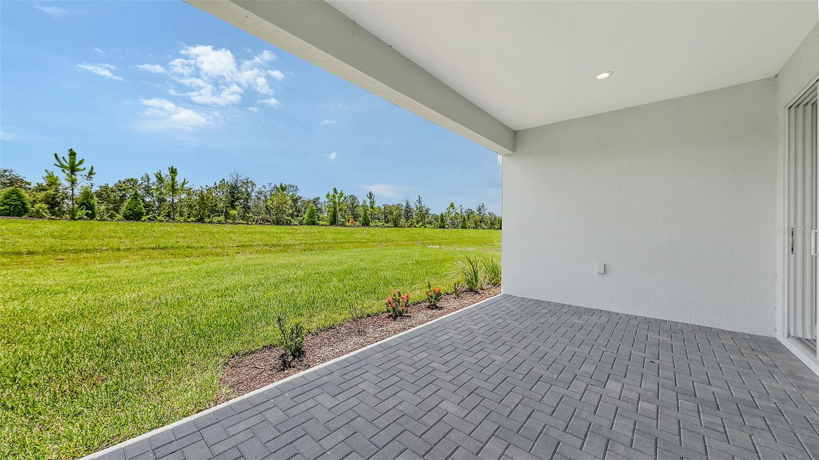Image 43 of 44 For 2250 Lady Palm Loop