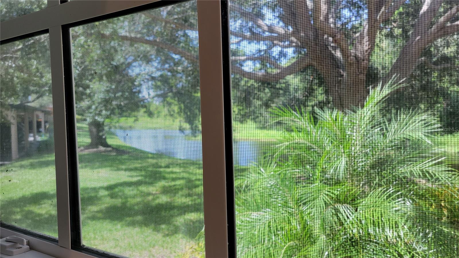 Image 11 of 66 For 4126 Central Sarasota Parkway 2011