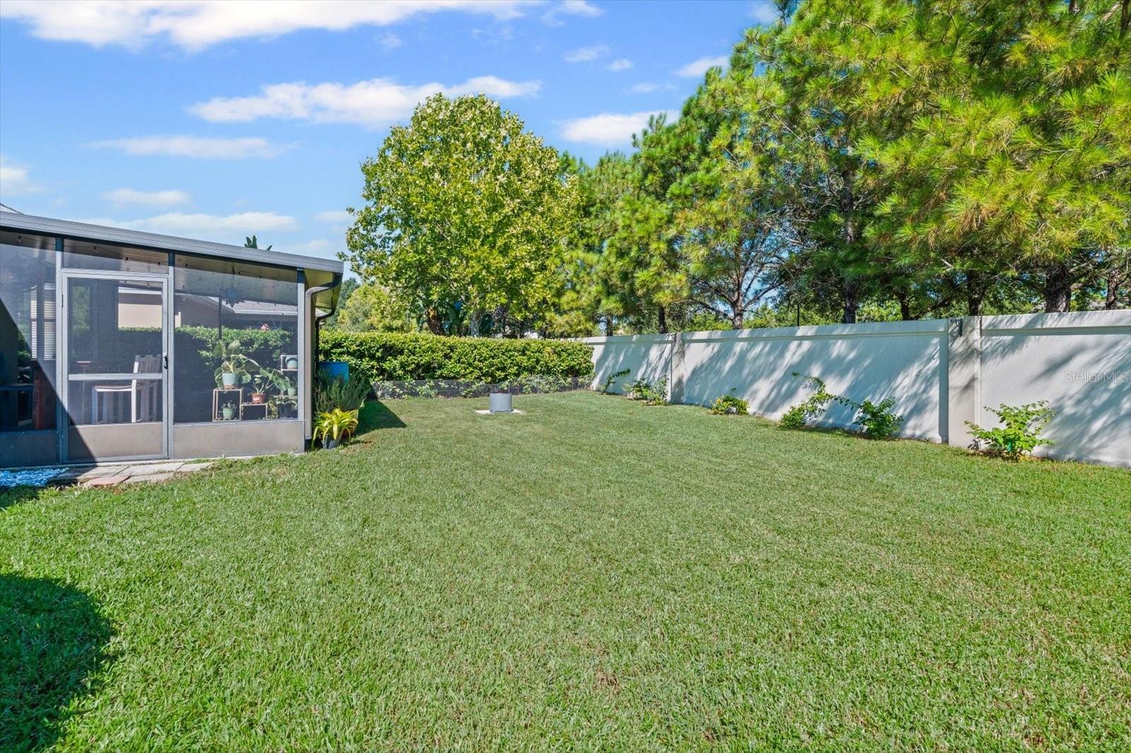 Image 39 of 41 For 10315 Celtic Ash Drive