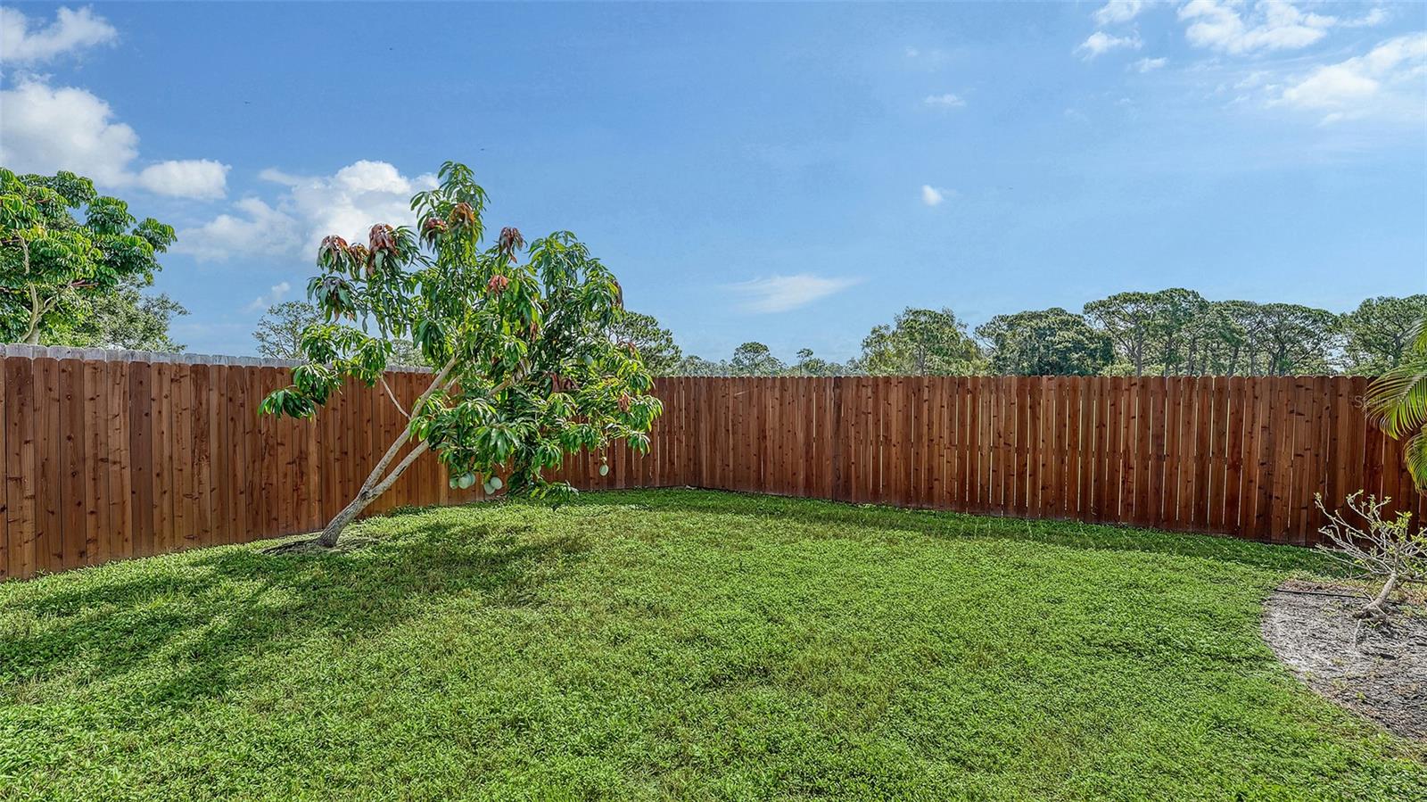 Image 38 of 38 For 1746 Briar Creek Lane