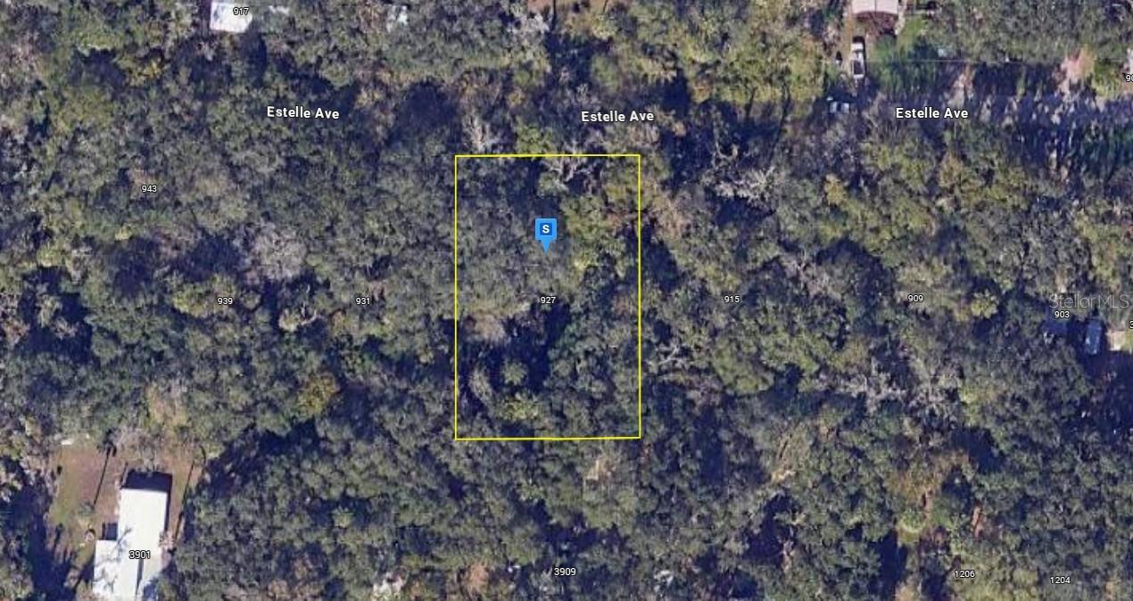 Details for 927 Estelle Avenue, BRANDON, FL 33511