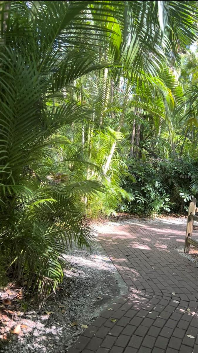 Image 5 of 7 For 8226 Dimstead Street