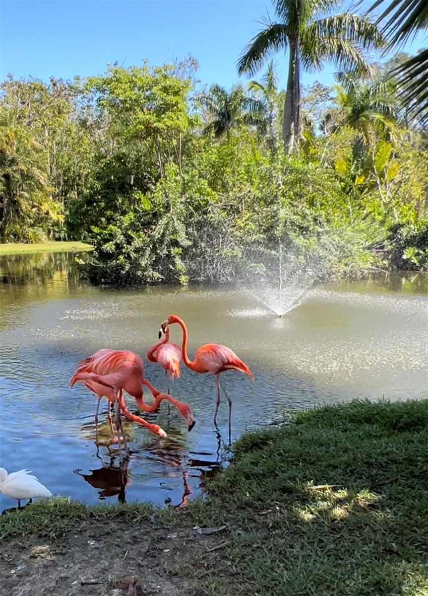 Image 6 of 7 For 8226 Dimstead Street