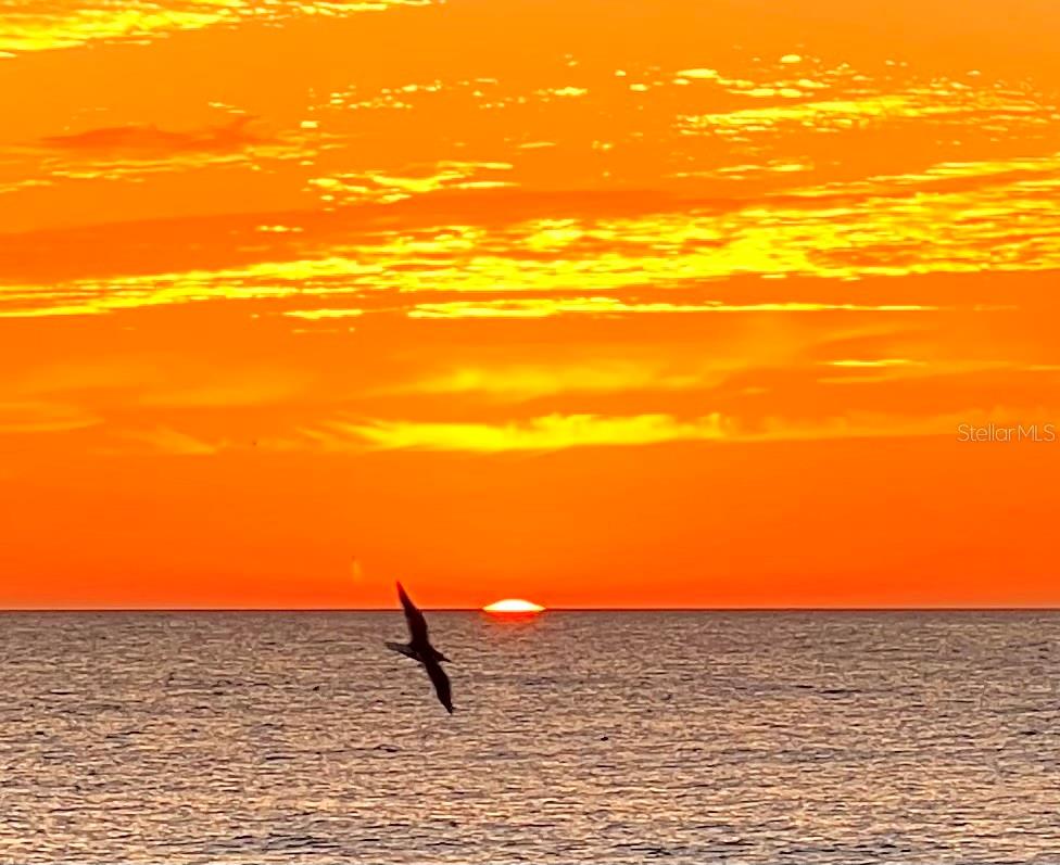 Image 28 of 33 For 132 Park Drive