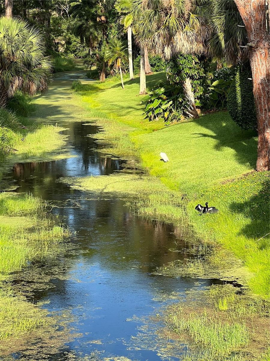 Image 31 of 33 For 132 Park Drive