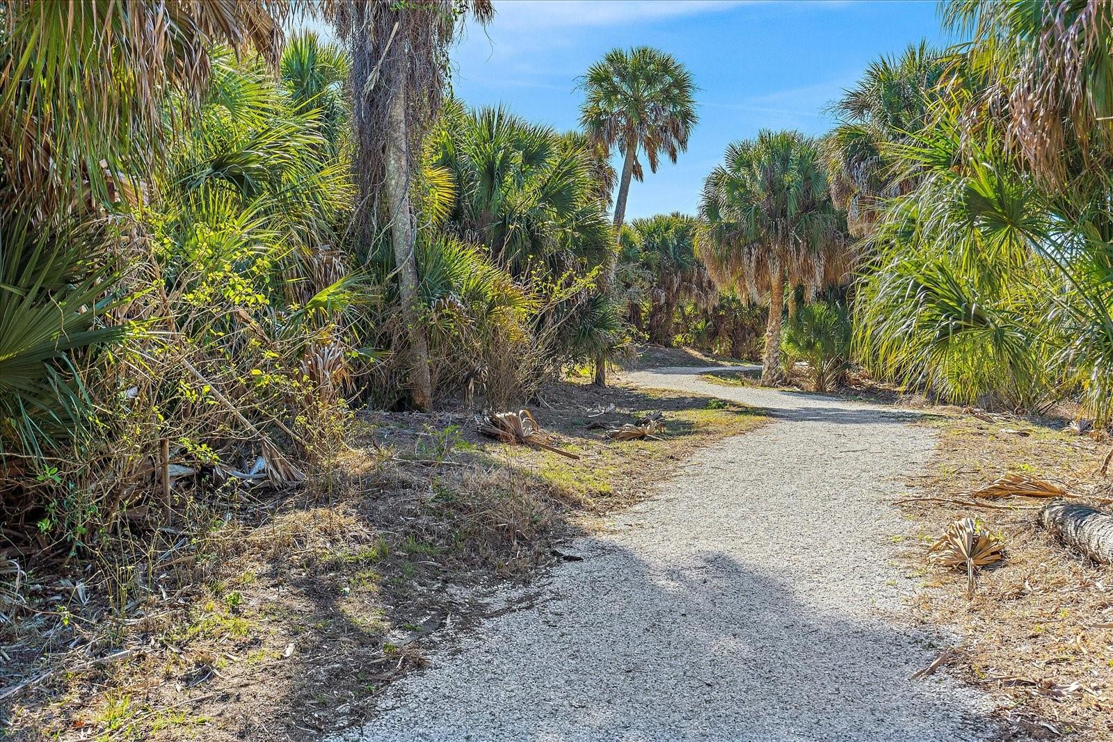 Image 24 of 42 For 12410 Osorio Court 201