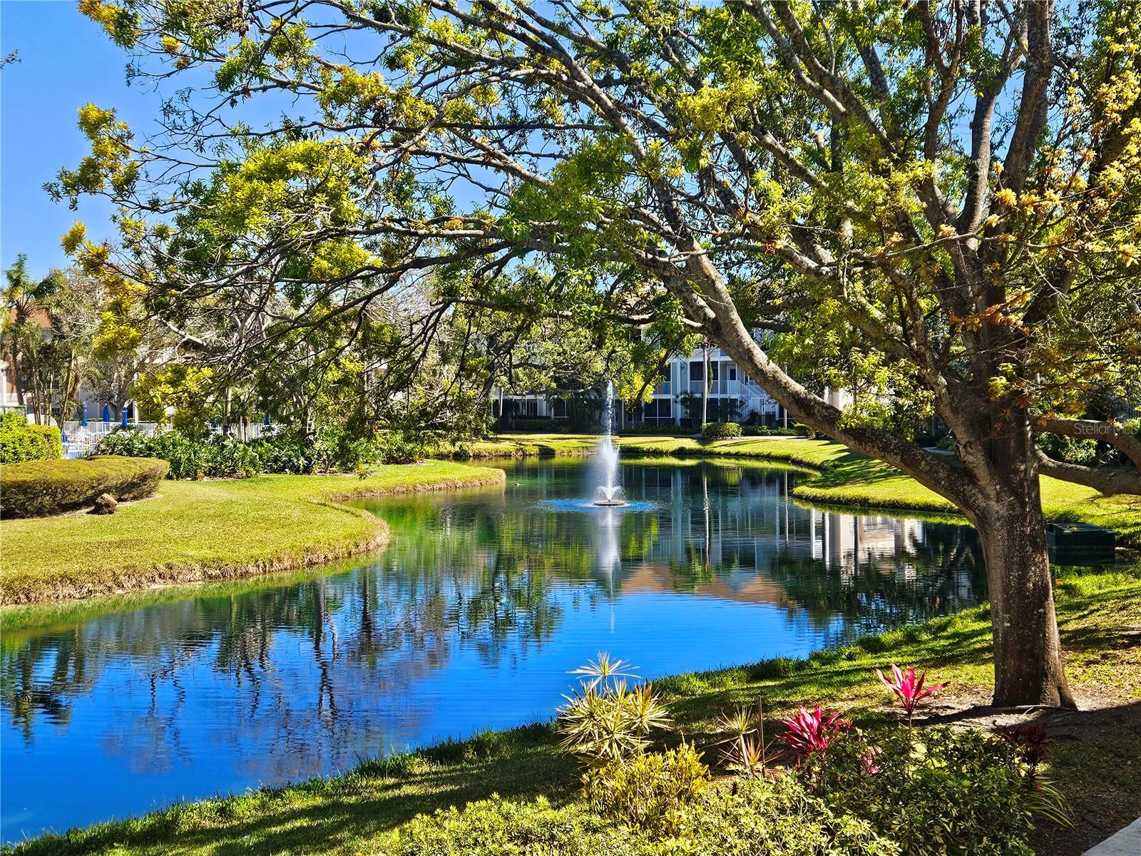 Details for 850 Tamiami Trail 506, SARASOTA, FL 34236
