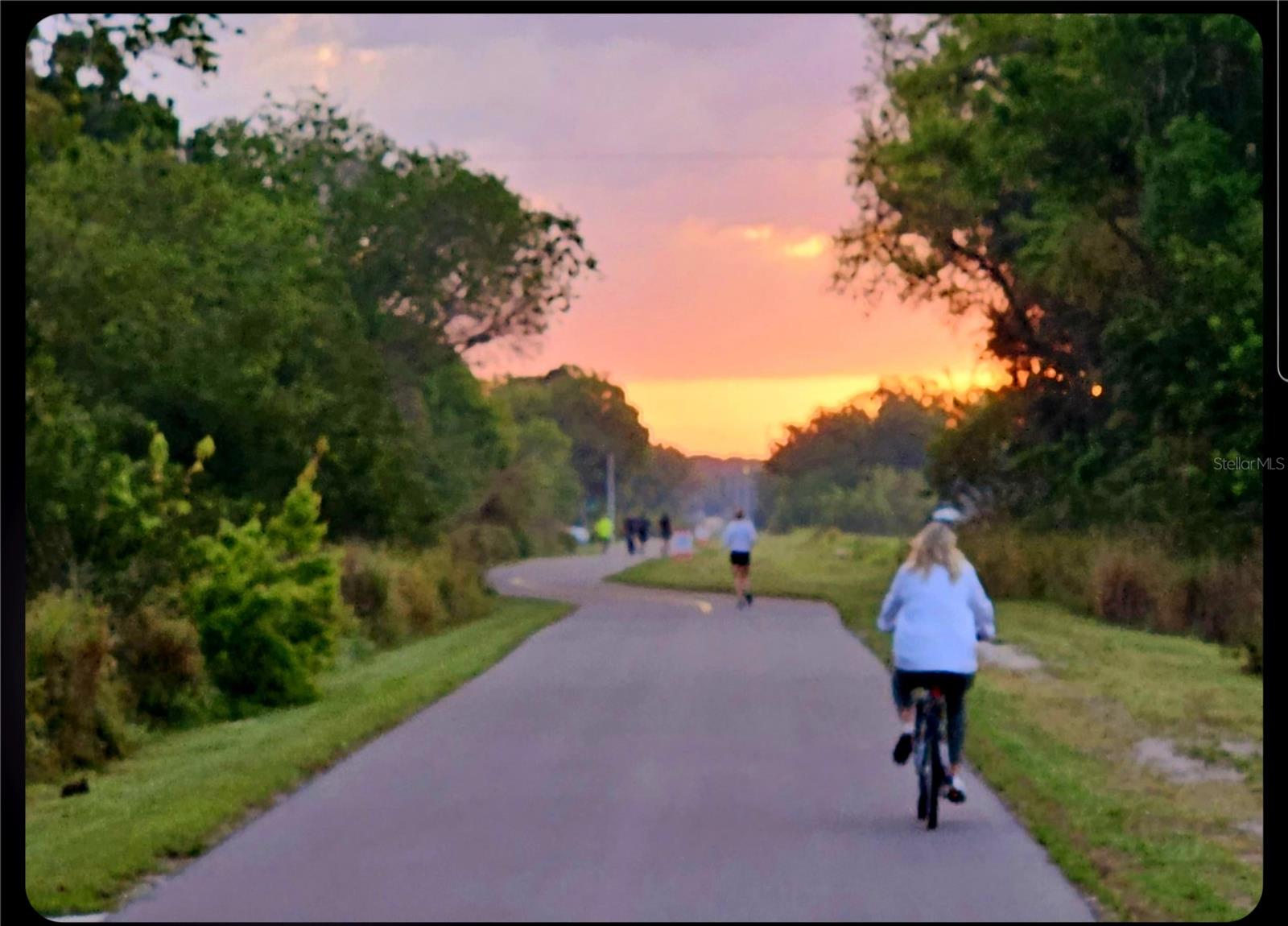 Image 28 of 36 For 850 Tamiami Trail 506