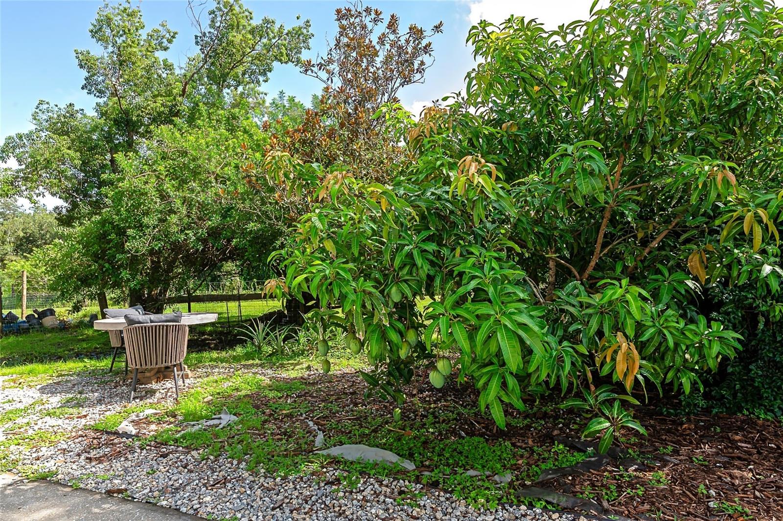 Image 35 of 49 For 10589 Brendle Road