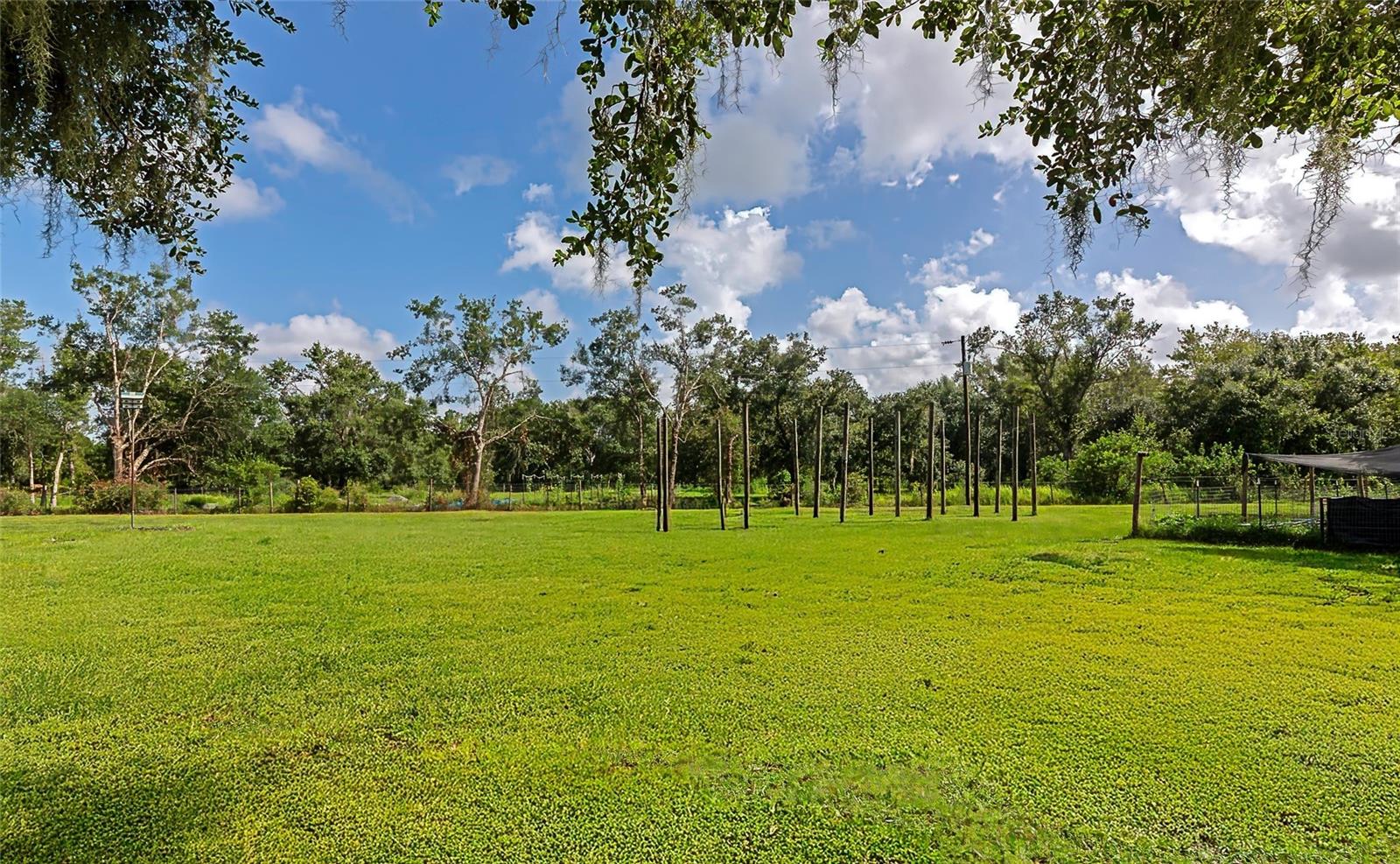 Image 39 of 49 For 10589 Brendle Road