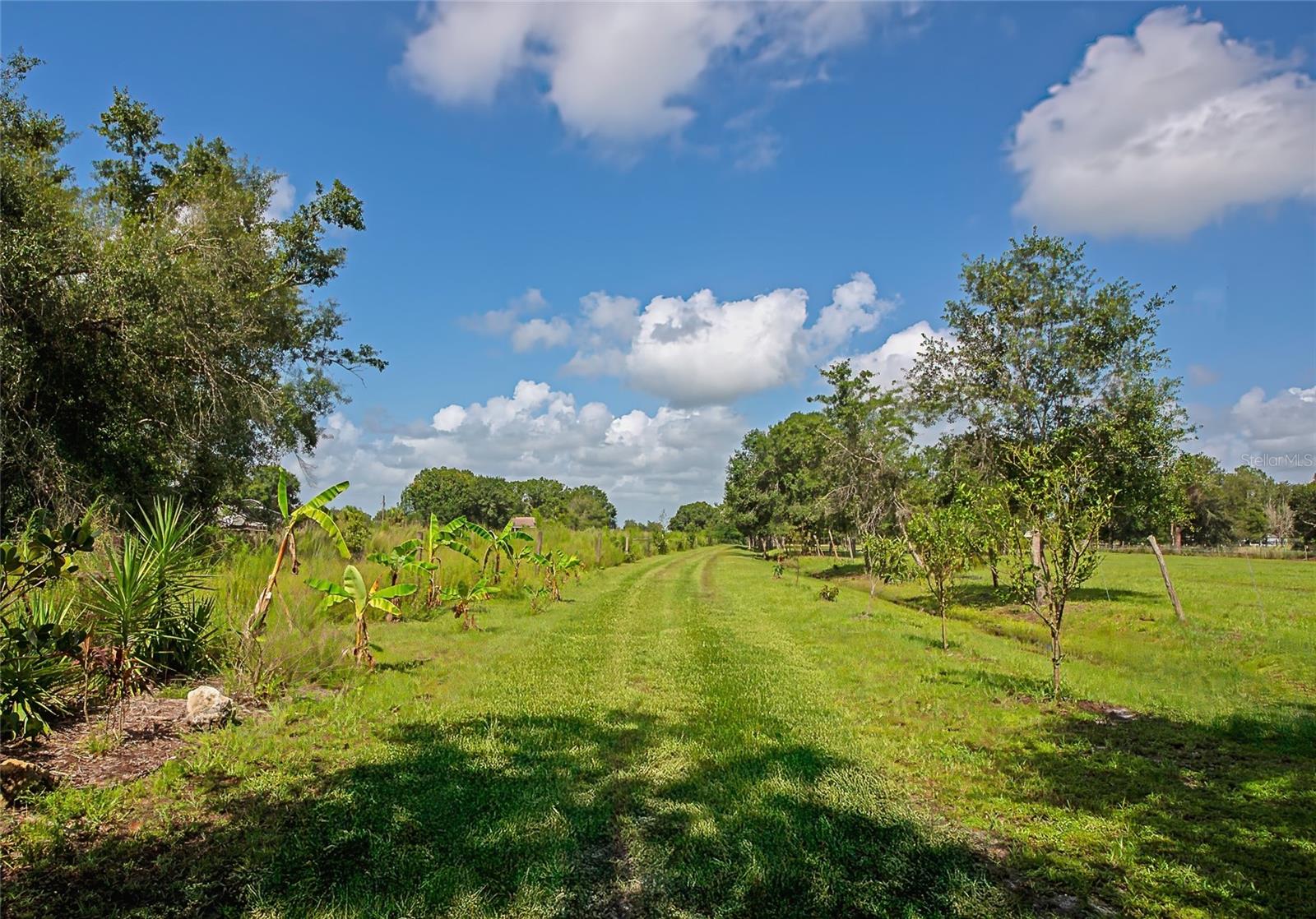 Image 42 of 49 For 10589 Brendle Road
