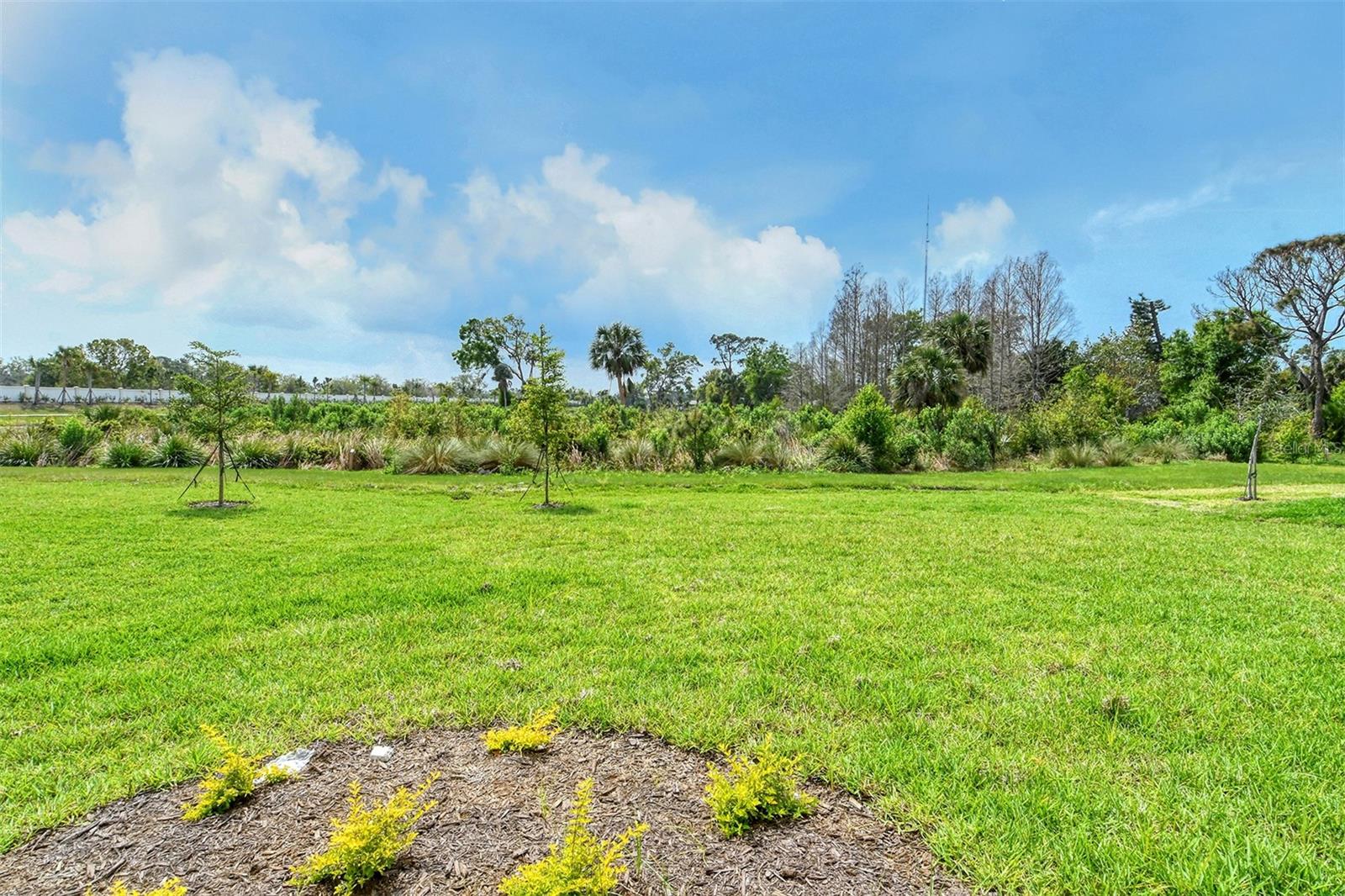 Image 60 of 82 For 15324 Shady Palms Lane