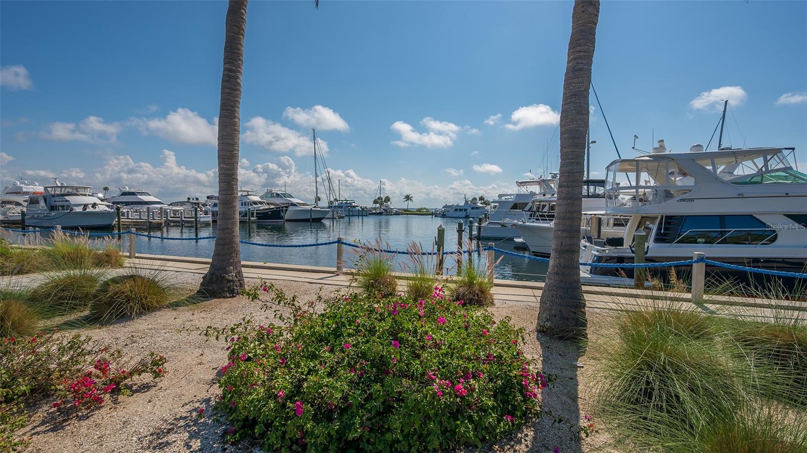 Image 58 of 67 For 1932 Harbourside Drive 244
