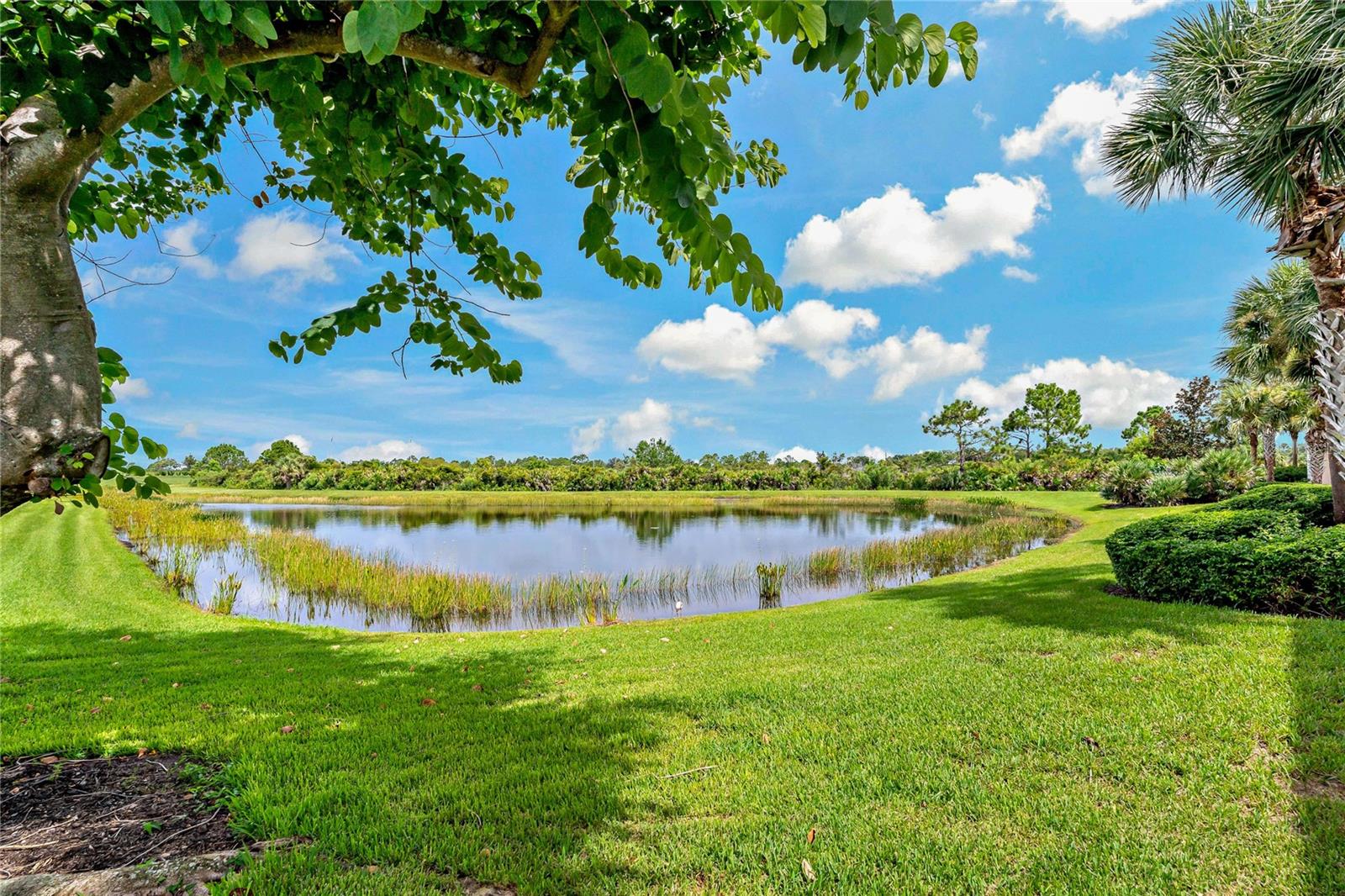 Image 34 of 67 For 23253 Banbury Way