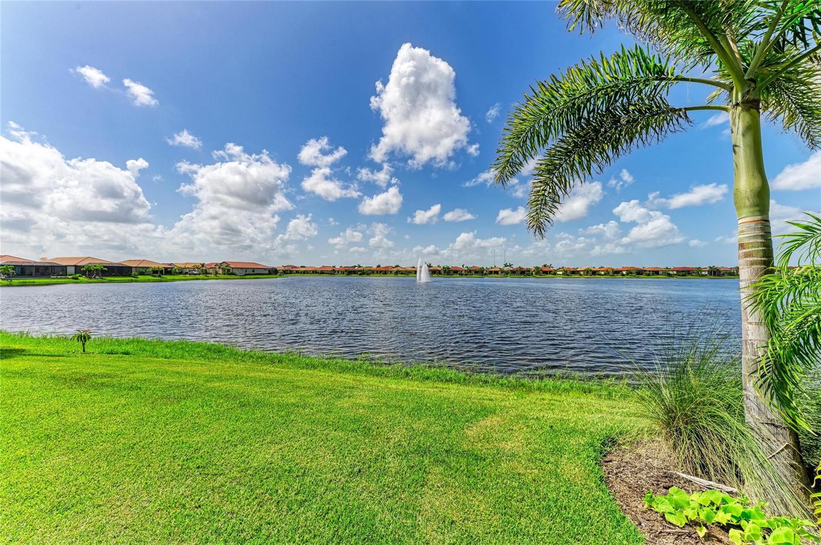 Image 4 of 84 For 257 Soliera Street