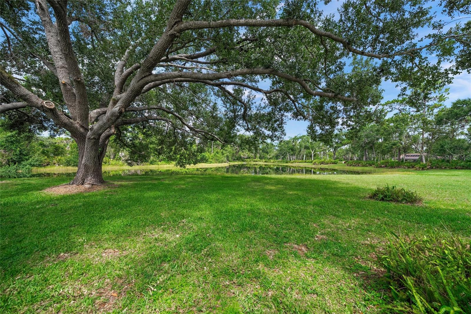Image 40 of 47 For 7300 Wax Myrtle Way