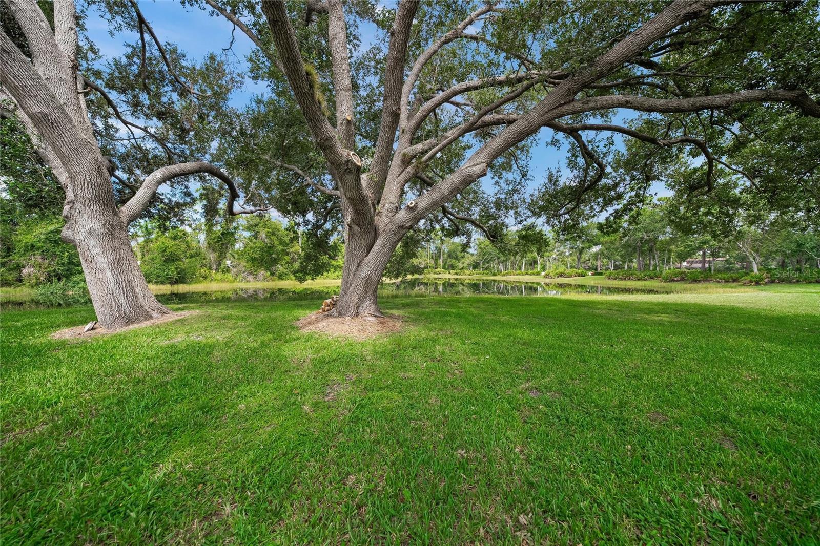 Image 41 of 47 For 7300 Wax Myrtle Way