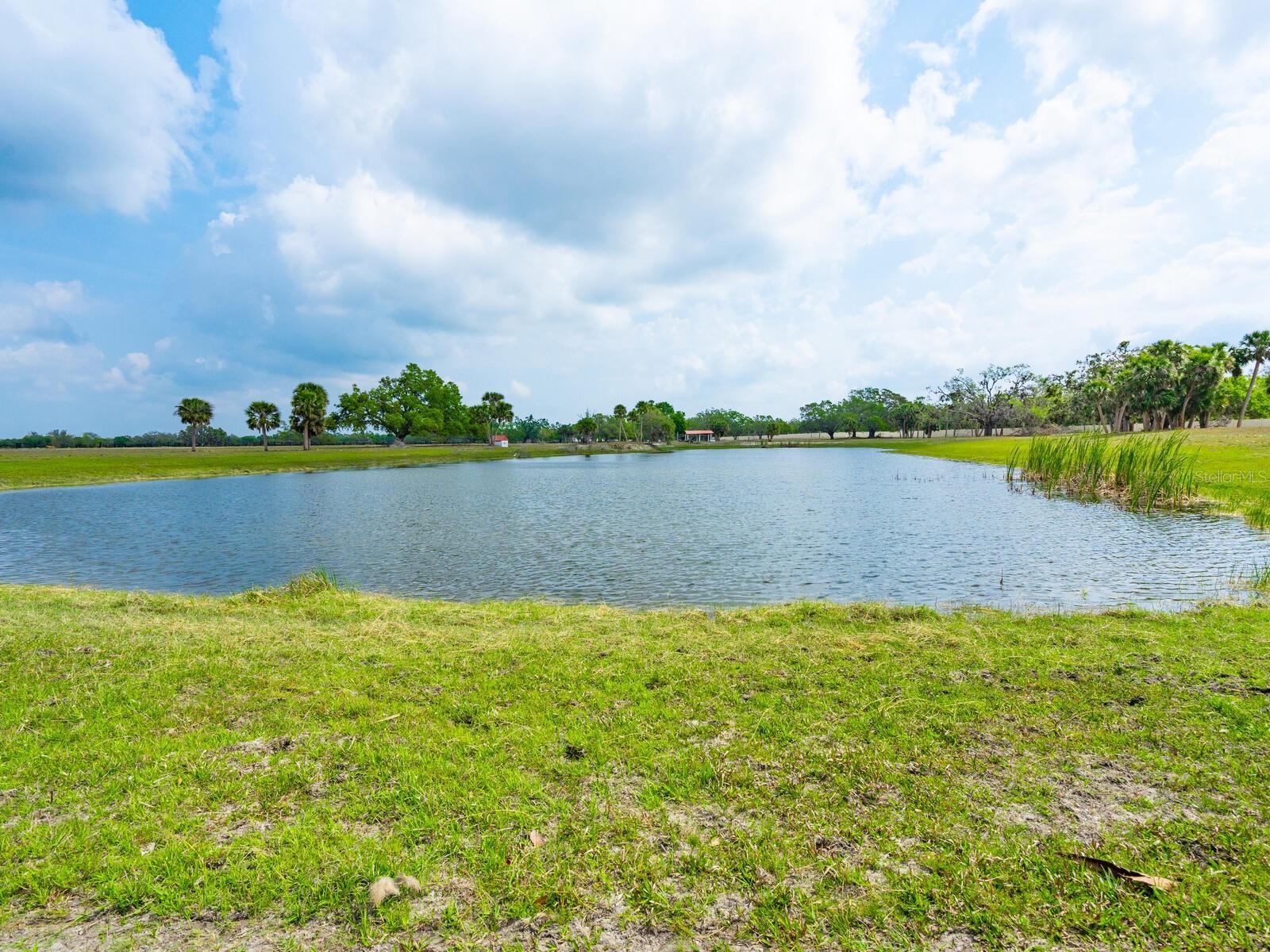 Listing photo id 22 for 600 Jackson Road