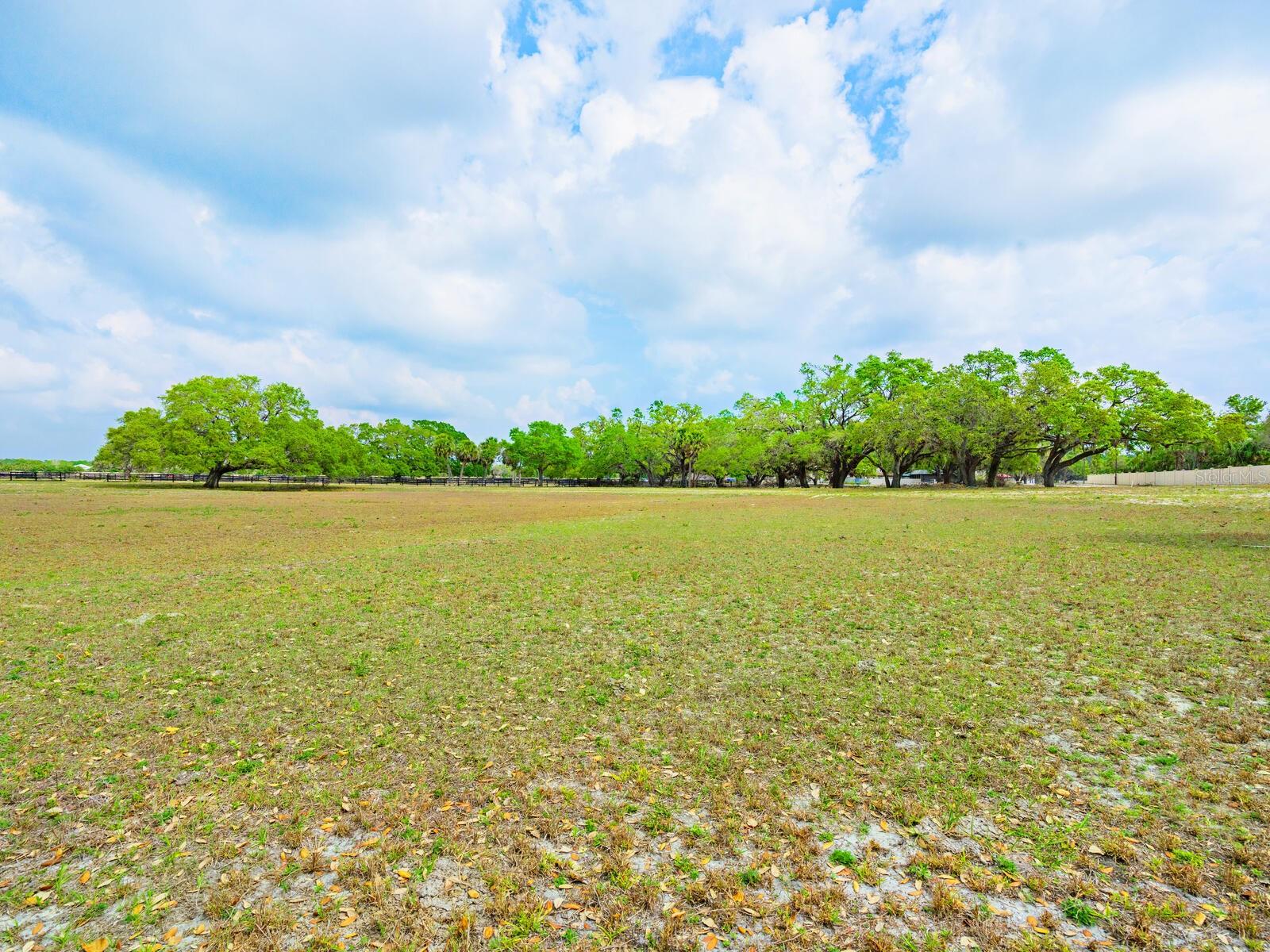 Listing photo id 38 for 600 Jackson Road