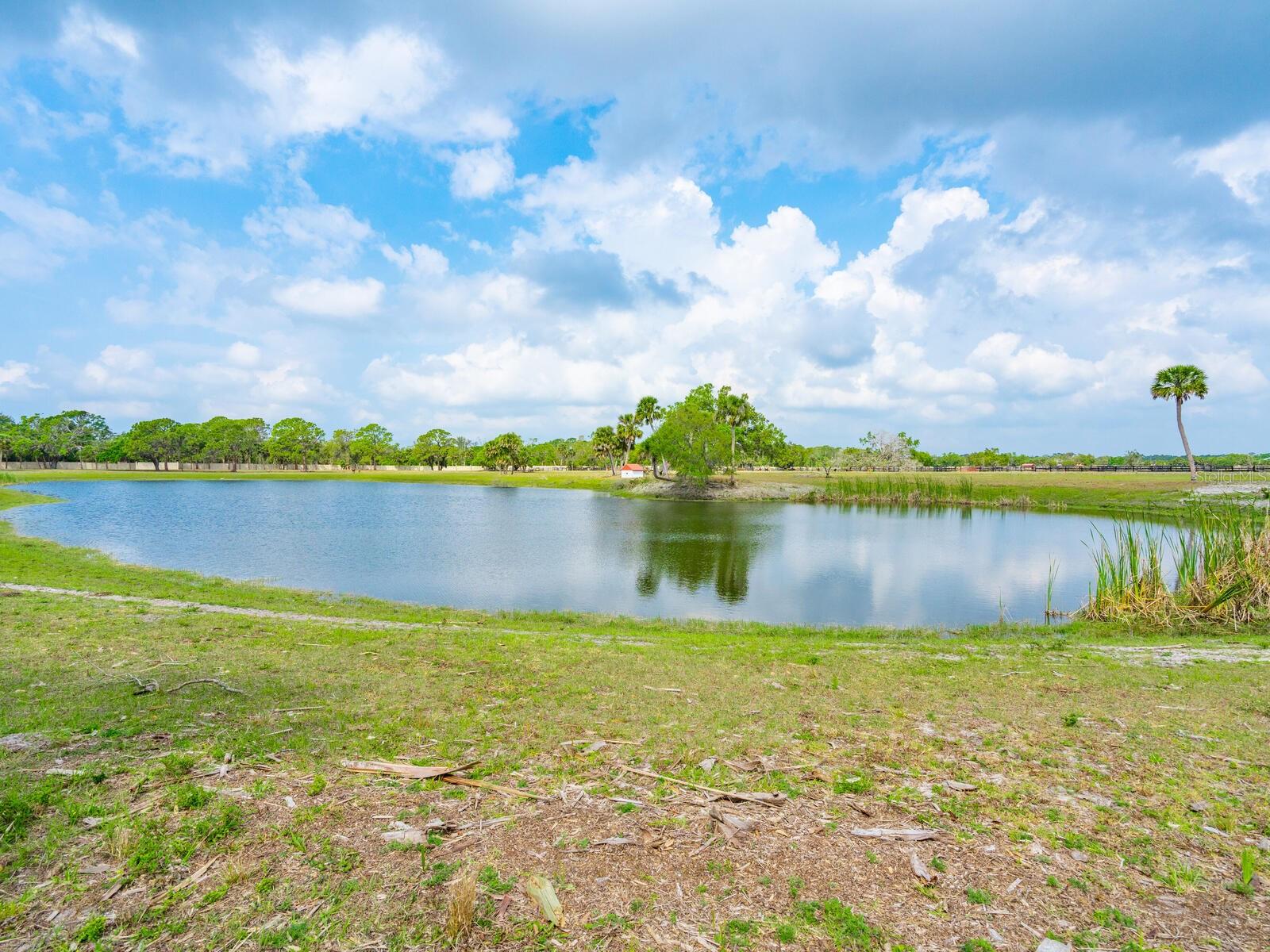 Listing photo id 39 for 600 Jackson Road