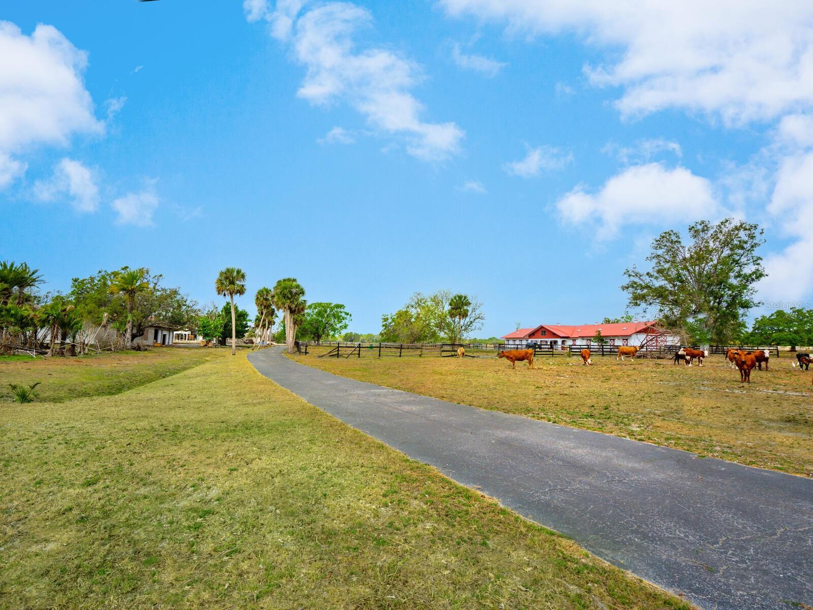 Listing photo id 52 for 600 Jackson Road