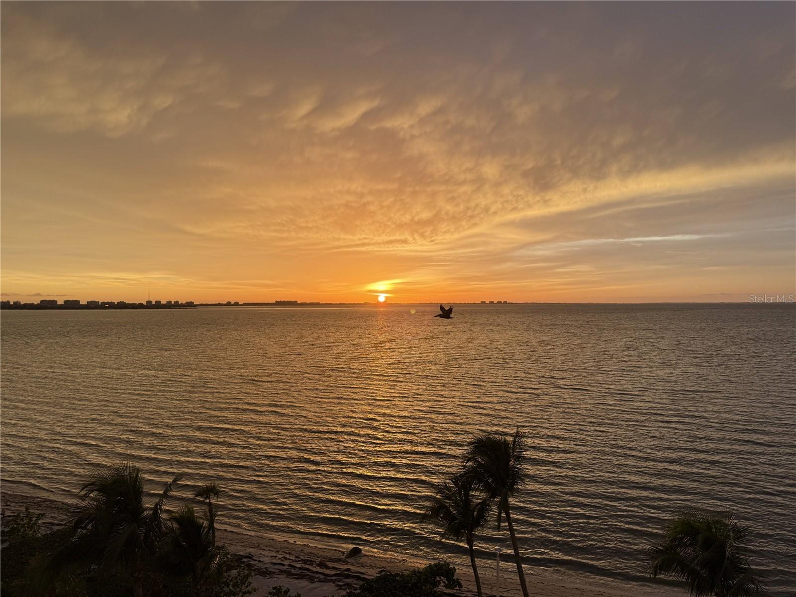 Image 4 of 82 For 11 Sunset Drive 502