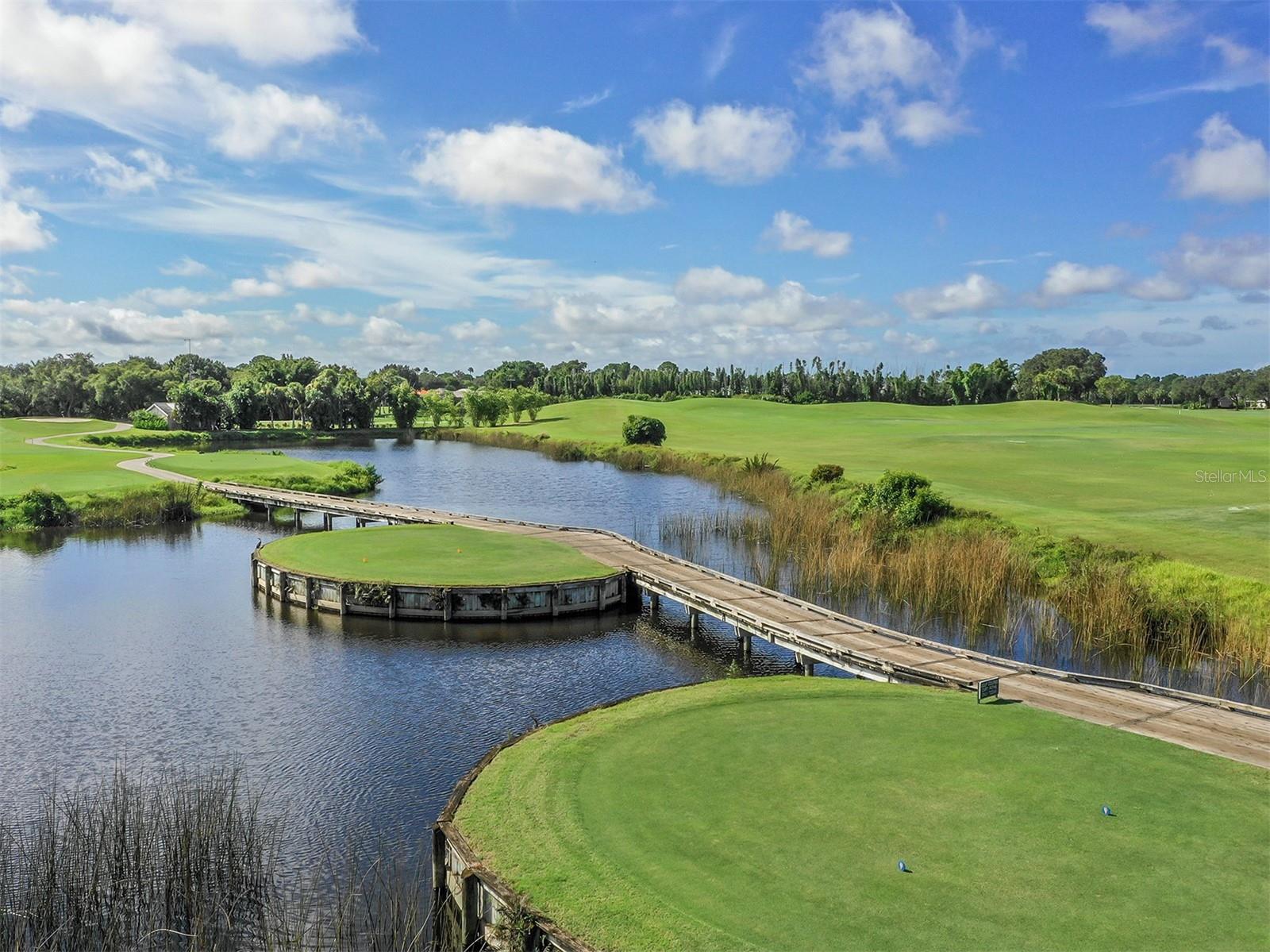 Image 49 of 50 For 926 Capri Isles Boulevard 228