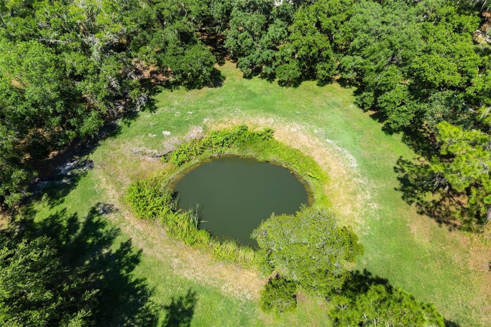 Image 33 of 42 For 14450 Manatee Road