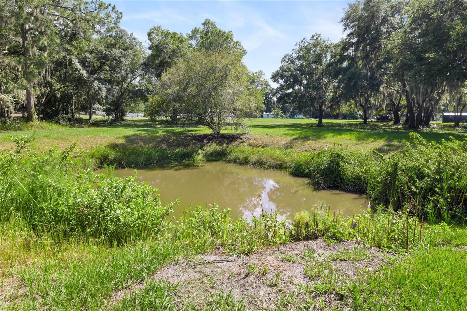 Image 34 of 42 For 14450 Manatee Road